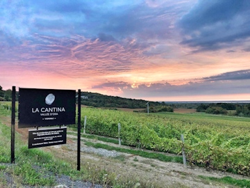 La Cantina, Vallée d'Oka vineyard 